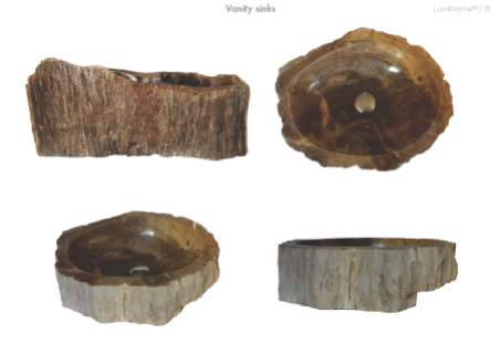 fossil wood sinks
